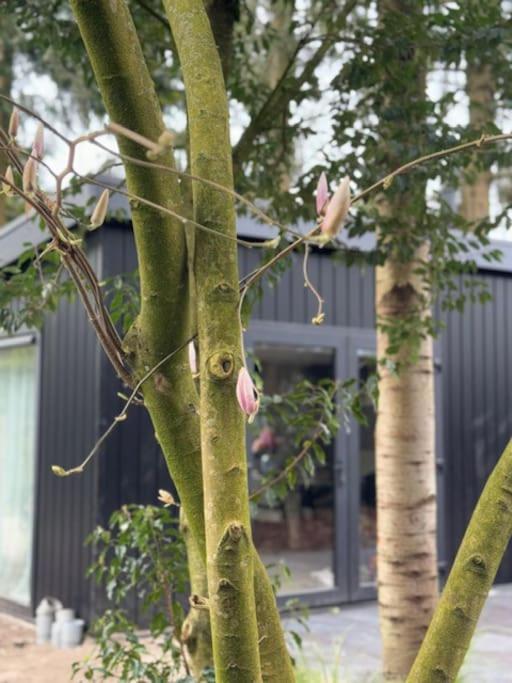 Veluwe Boutique Lodge Putten Zewnętrze zdjęcie